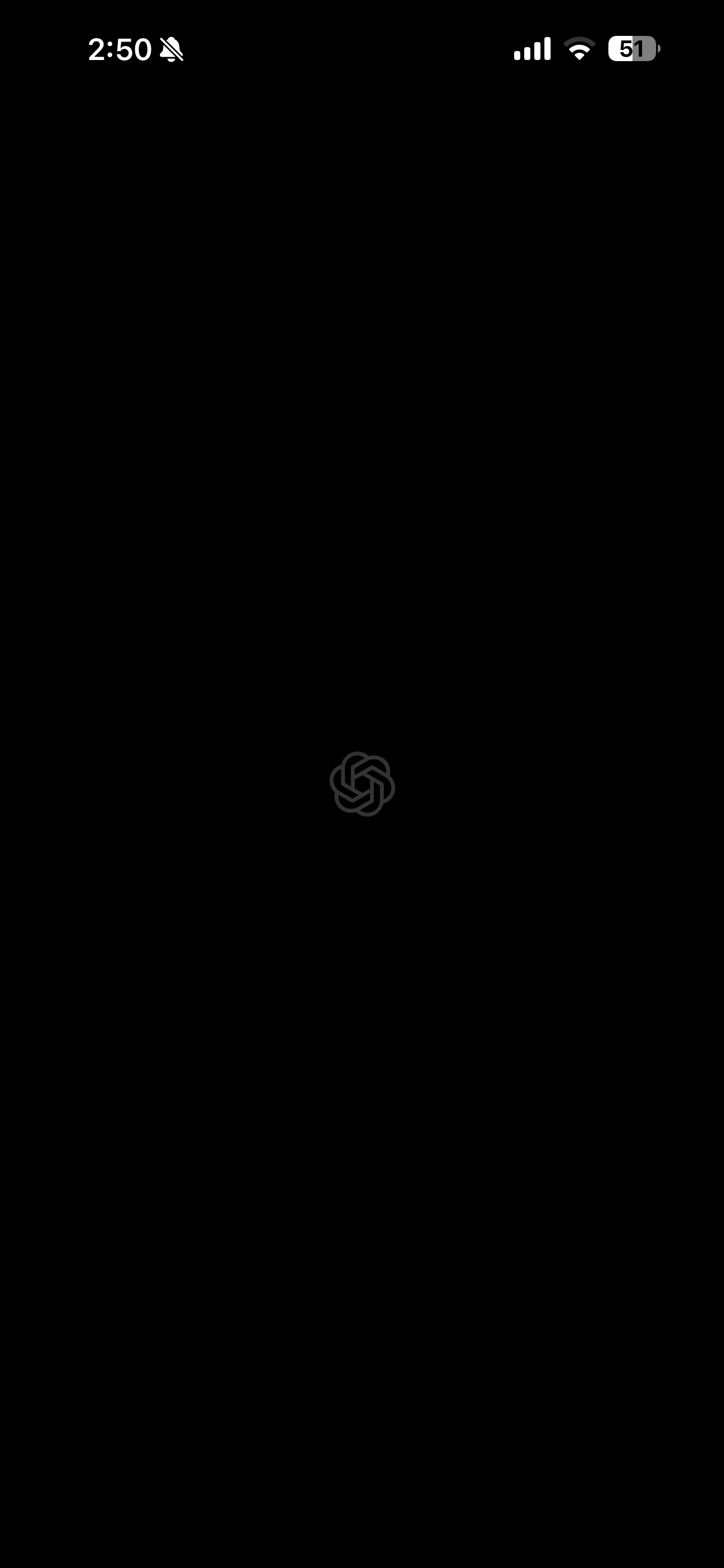 ChatGPT iOS 起動時 IMG_0791.PNG