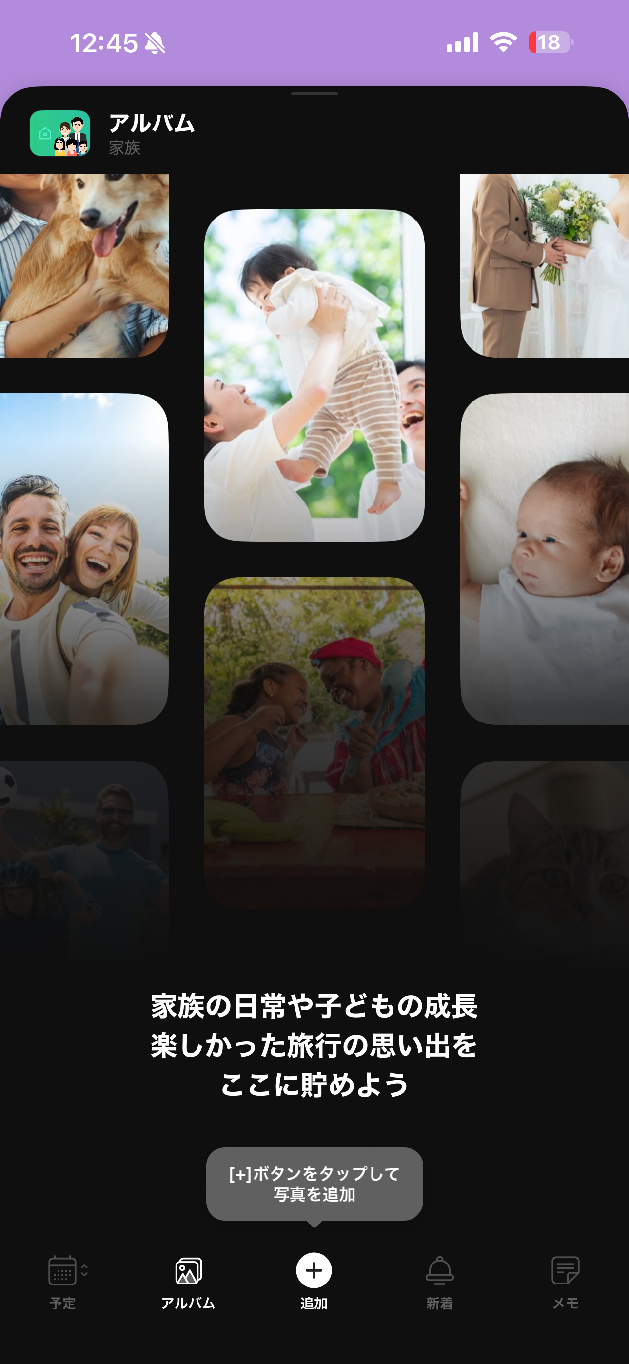 TimeTree iOS 予定ホーム画面 アルバム.PNG