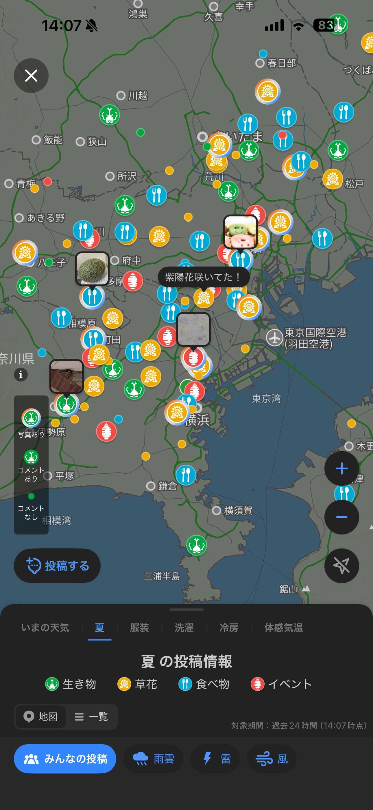 Yahoo!天気 iOS 雨雲・みんなの投稿 夏.PNG